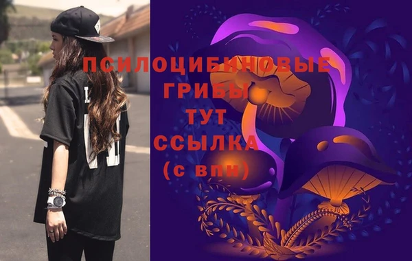 дмт Мегион
