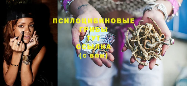 дмт Мегион