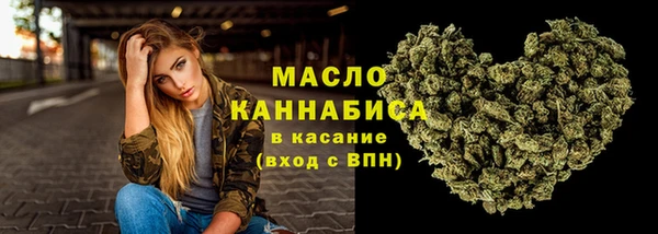 дмт Мегион