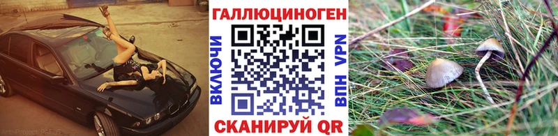 Псилоцибиновые грибы мухоморы  купить наркотик  Югорск 