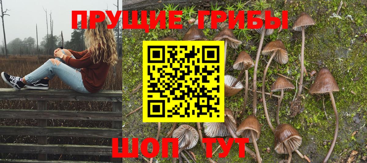 Югорск  Галлюциногенные грибы Psilocybine cubensis  Вход с VPN 