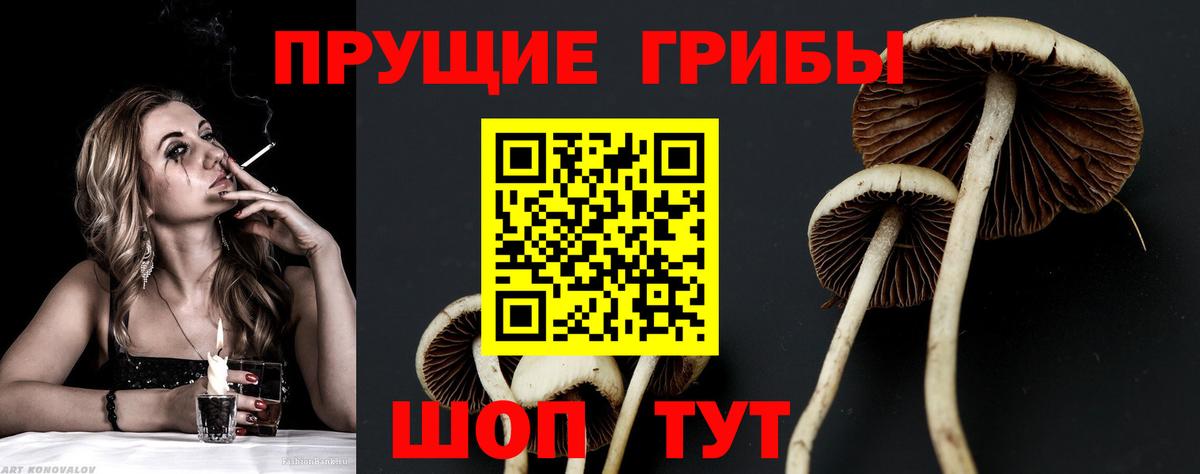 Псилоцибиновые грибы Magic Shrooms Югорск
